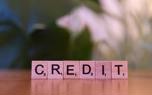 Credit score check