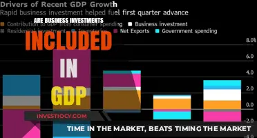 Understanding GDP: Do Business Investments Count?