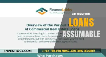 Exploring the Ins and Outs of Commercial Loan Assumptions
