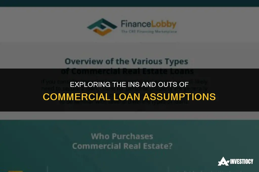 are commercial loans assumable