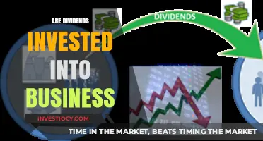 Exploring the Impact of Dividends on Business Investment