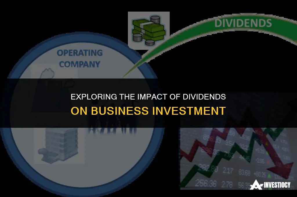 are dividends invested into business