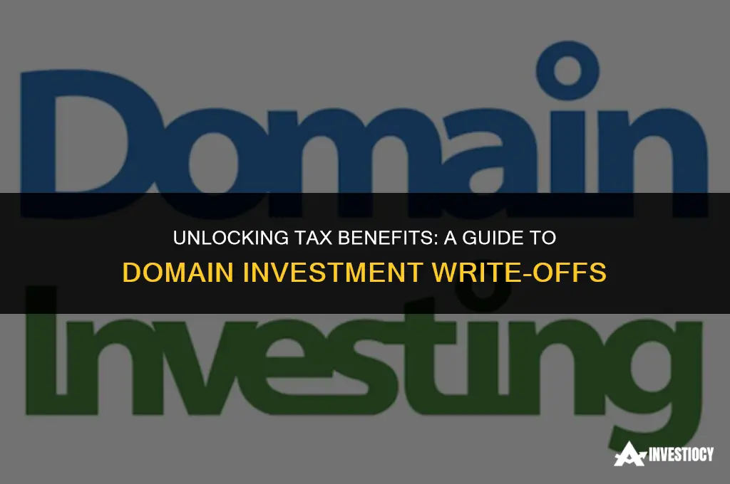 are domain investment business write offs