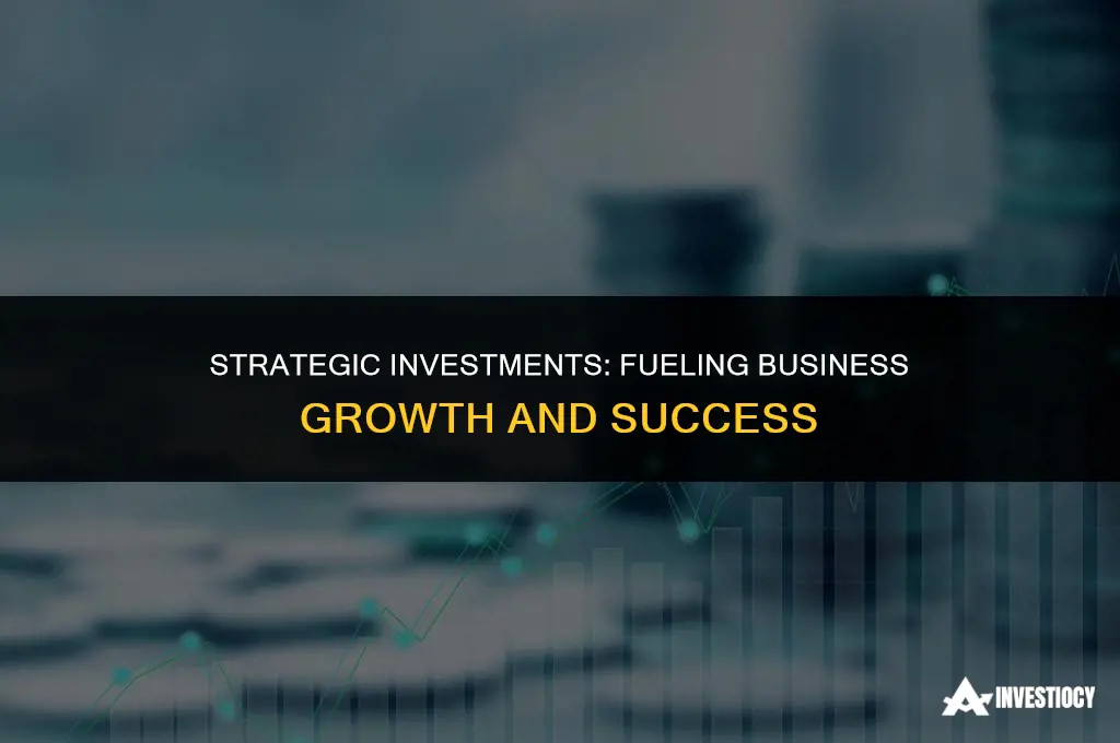 are investments that are to be used in the business