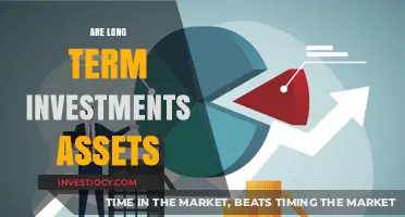 Are Long-Term Investments Assets? A Comprehensive Guide to Understanding Your Financial Future