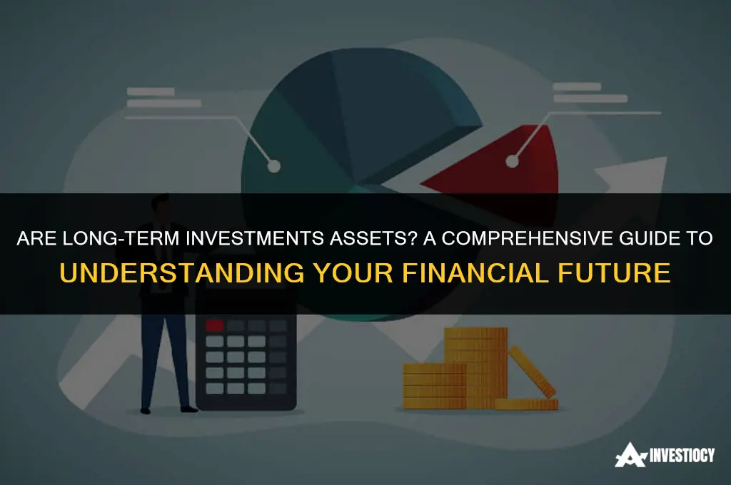 are long term investments assets