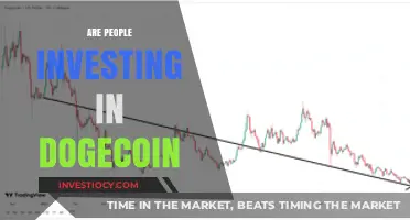 Riding the Doge Wave: The Surge in Dogecoin Investments