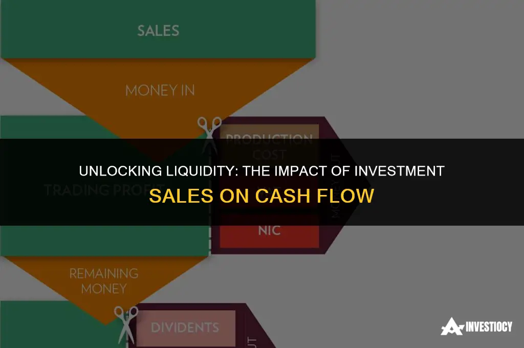 are sale of investments cash flow