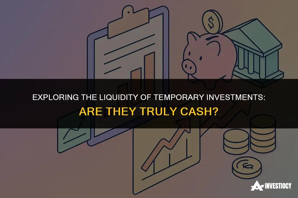 are temporary investments cash