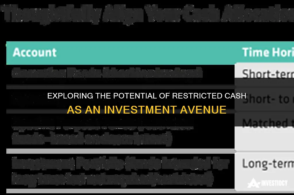 could restricted cash be an investment