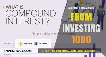 From Modest Investments to Millionaire Status: The Power of Compound Interest