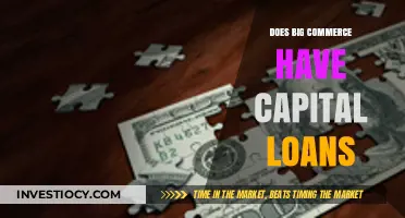 Exploring BigCommerce's Capital Loan Options for E-commerce Growth