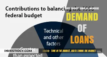 Exploring the Impact of Budget Surpluses on Loan Demand Dynamics