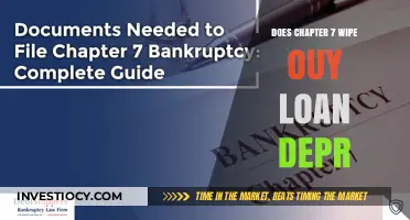 Understanding Chapter 7 Bankruptcy: Loan Discharge Explained