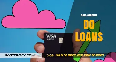 Exploring the Loan Landscape: Does Current Offer Loan Services?