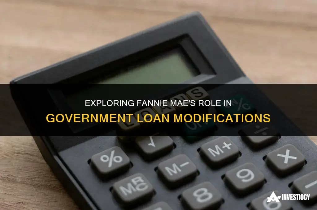 does fannie mac have a goverment loan modification