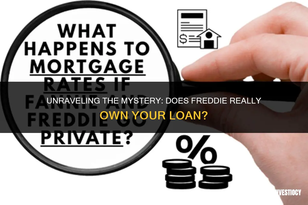 does freddie own the loan