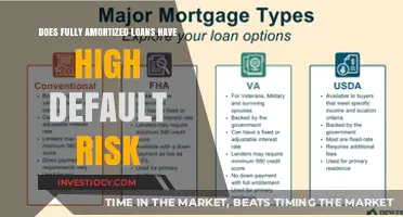 Exploring the Default Risk of Fully Amortized Loans: A Comprehensive Analysis