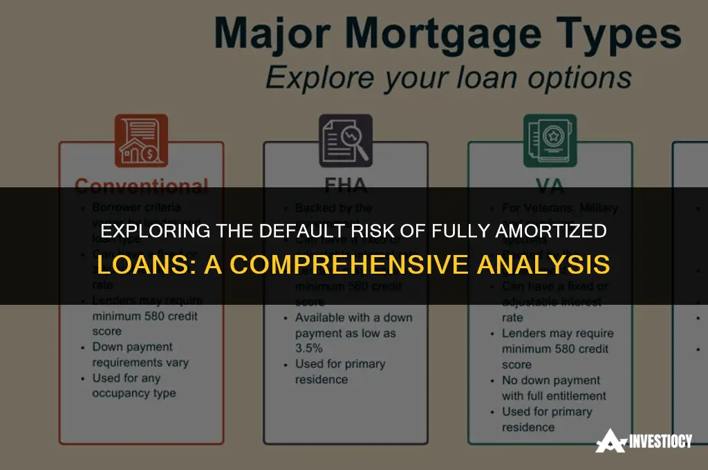 does fully amortized loans have high default risk