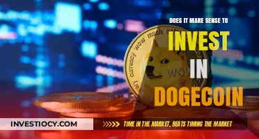 Riding the Doge Wave: A Sensible Investment or a Risky Gamble?