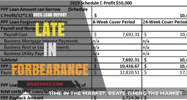 Understanding Loan Reporting During Forbearance Periods: A Guide