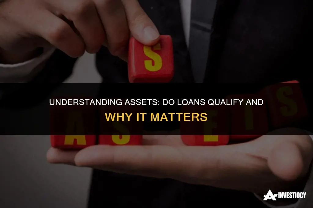 does loans count as assets