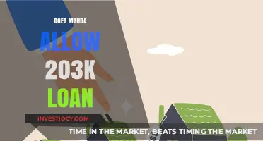 Exploring MSHDA's Loan Programs: Is the 203k Loan Included?