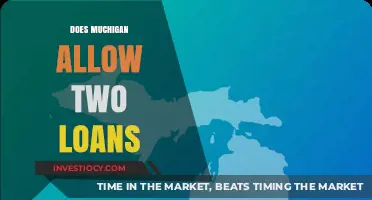 Navigating Loan Options in Michigan: What You Need to Know