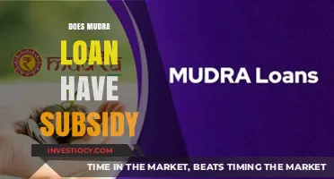 Exploring the Benefits: Does Mudra Loan Offer a Subsidy?