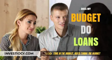 Exploring Loan Options: Does Your Budget Qualify?