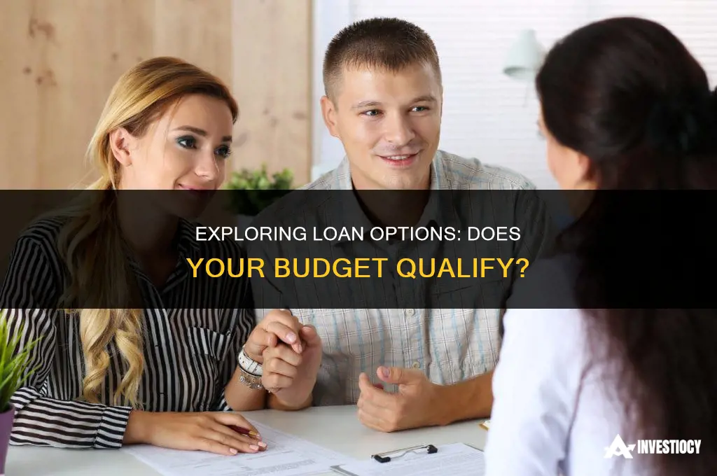 does my budget do loans