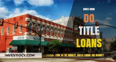 Exploring Title Loan Options in Ohio: What You Need to Know