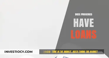 Exploring Financial Options: Does ProSeries Offer Loan Services?
