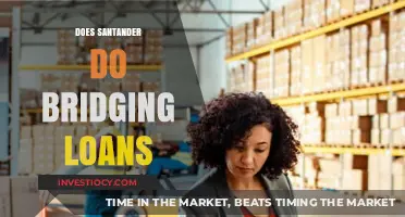 Exploring Santander's Bridging Loan Options: A Comprehensive Guide