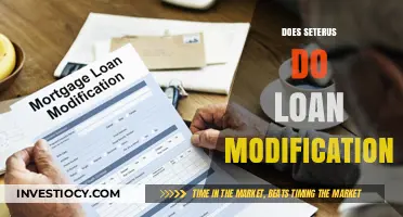 Exploring Loan Modification Options with Seterus: A Comprehensive Guide