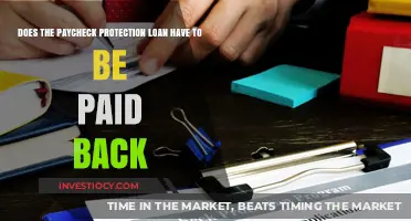 Understanding Paycheck Protection Loans: Repayment Requirements Explained