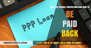 Understanding Payroll Protection Loans: Repayment Requirements Explained