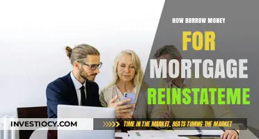 Navigating Mortgage Reinstatement: A Guide to Borrowing Money Wisely
