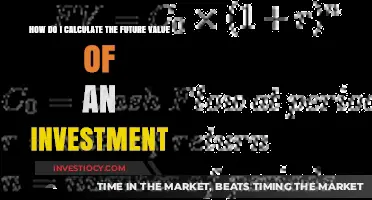 Smart Investing: Calculating the Future Value of Your Investments
