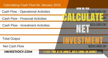 Unlocking Financial Growth: The Step-by-Step Guide to Calculating Net Investment