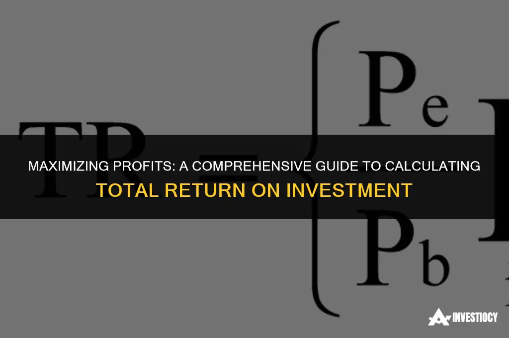 how do you calculate total return on investment