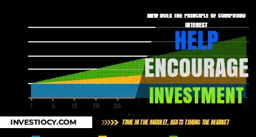 Unlocking Financial Growth: The Power of Compound Interest in Investment