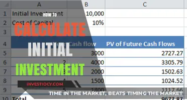 Smart Start: Calculating Your Initial Investment for Success
