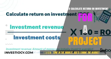 Maximizing Profits: A Step-by-Step Guide to Calculating Project ROI