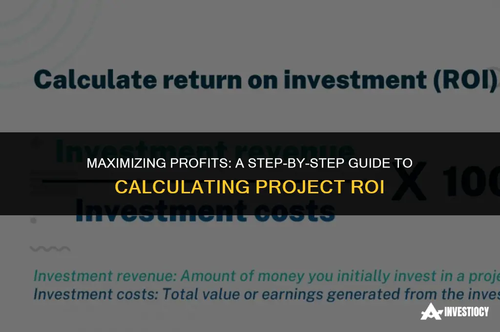 how to calculate return on investment for a project