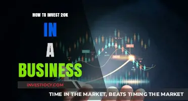 Smart Strategies: Investing $20,000 in Your Business for Maximum Growth