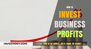 Smart Strategies: Reinvesting Business Profits for Growth and Stability