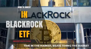 Smart Investing: A Beginner's Guide to BlackRock ETFs