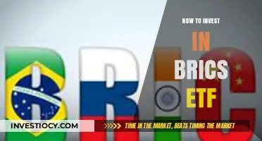 Diversify Your Portfolio: A Guide to Investing in BRICS ETFs
