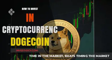 Riding the Doge Wave: A Beginner's Guide to Investing in Dogecoin